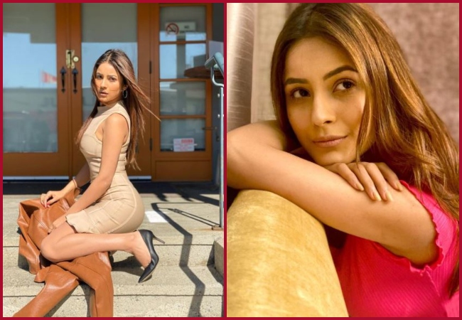 Shehnaaz Gill looks like a DIVA in turtleneck bodycon dress; See here