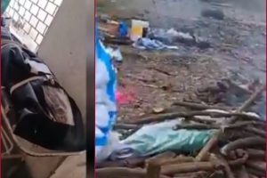 No dignity in death: In Chhattisgarh, dead bodies of Covid-19 patients taken for cremation in garbage van (VIDEO)