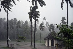 Yellow alert for Gujarat & Diu coasts as Tauktae intensifies into severe cyclonic storm