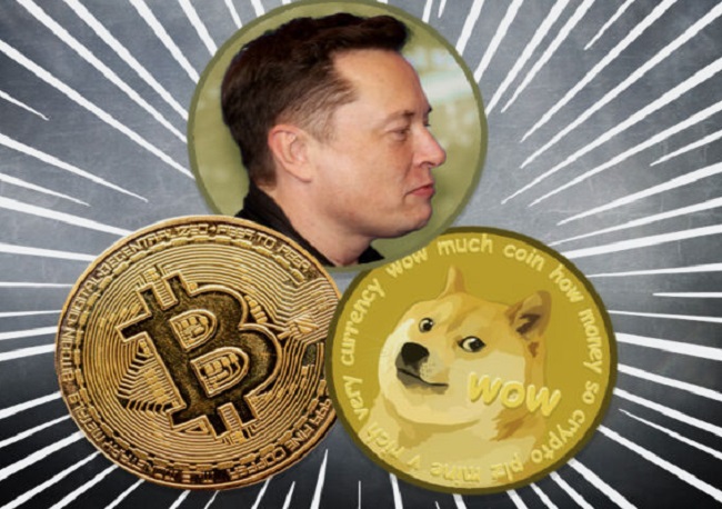 Bitcoin - Dogecoin - Elon Musk
