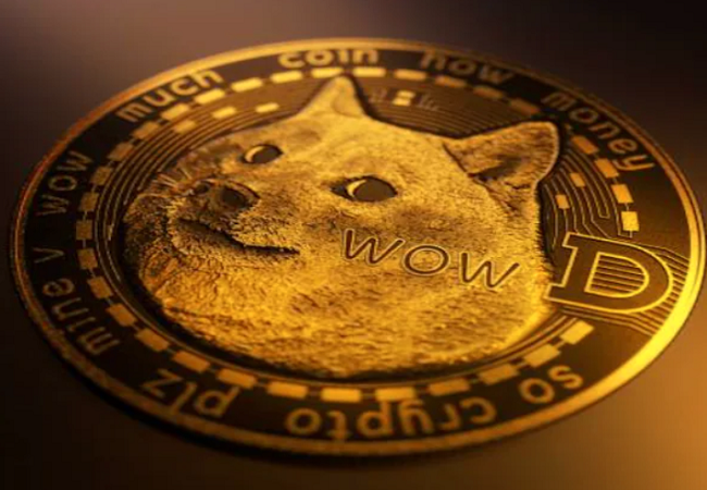 Dogecoin rises by 20%; Is this the right time to invest? How to buy?