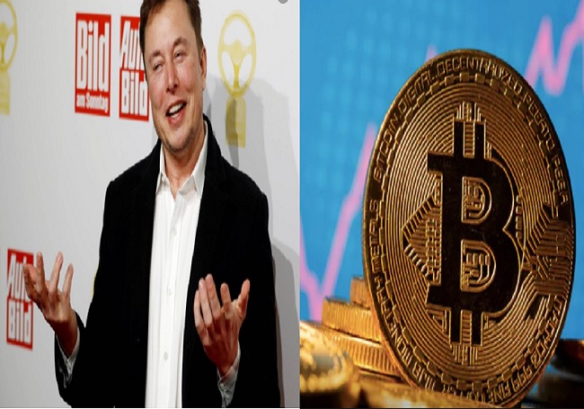 Elon Musk - Bitcoin