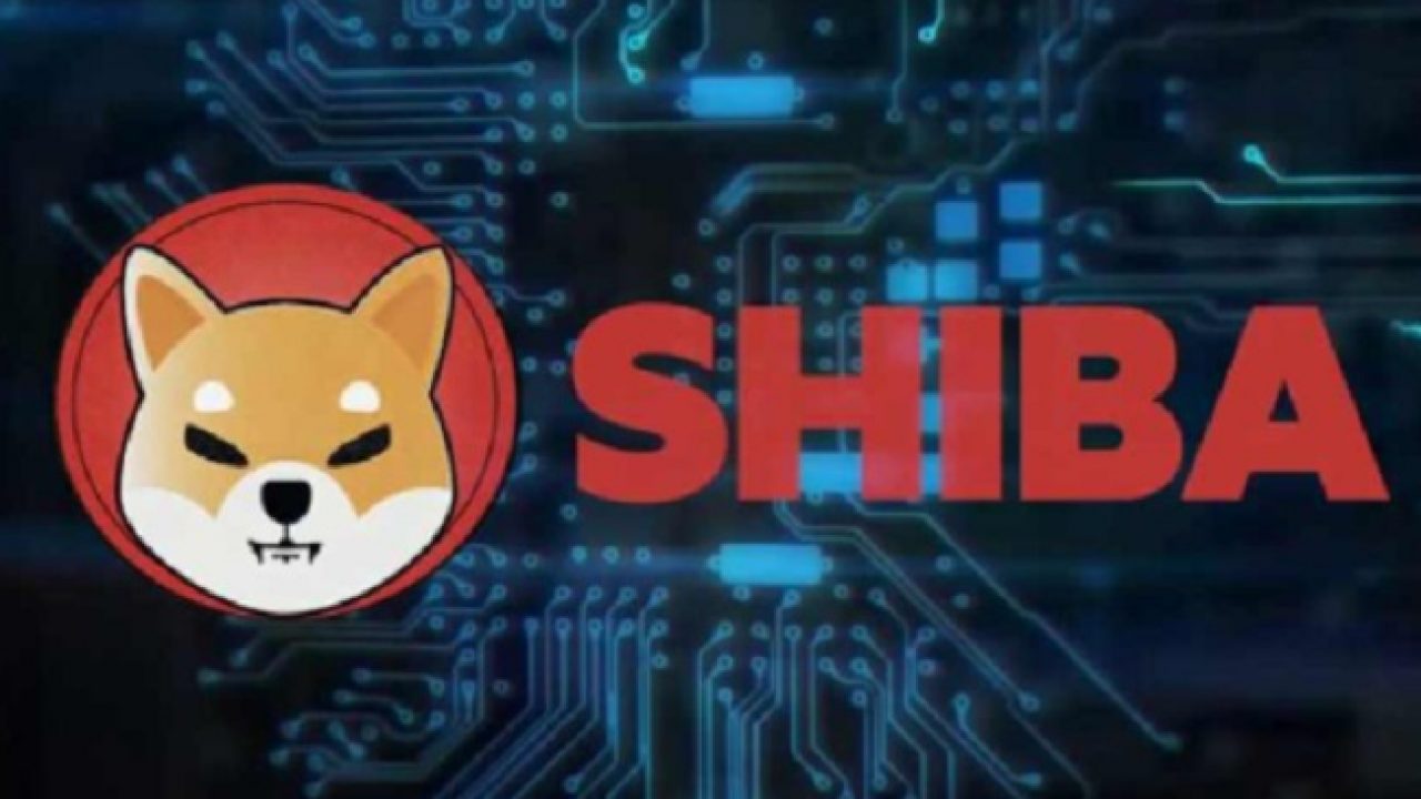 All About Shiba Inu Cryto Coin How Can You Buy It In India