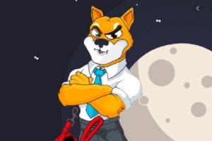 Shiba INU is back on top gainers on crypto.com; check here