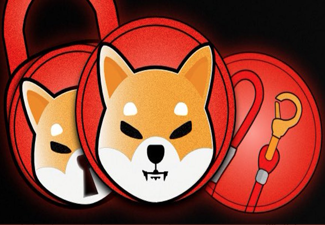 3 cryptocurrencies to buy in a heartbeat over shiba inu in december the motley fool on should i buy shiba inu coin right now