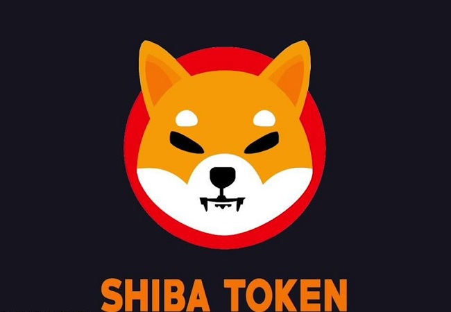 shiba inu crypto price in india