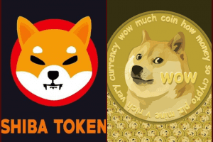 Looking to invest in Dogecoin or Shiba Inu? This is how to buy them in India