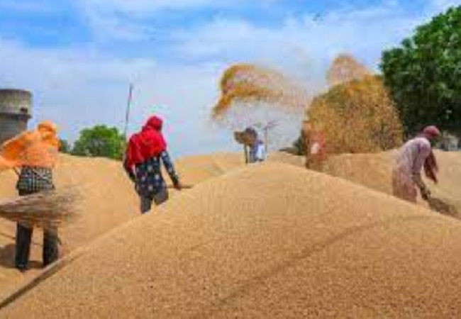 UP produces record 624.33 lakh MT food grains, 33.77 lakh MT procured by govt; 6.71 lakh farmers benefit