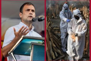165 Indian journalists lost their lives to COVID so far: Rahul Gandhi highlights plight of journalists