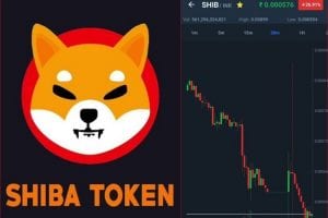 Shiba Inu at risk of further losses; Can dump down by 20%