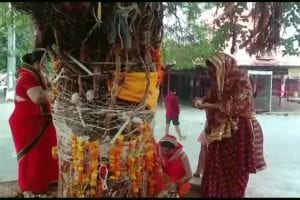 Vat Savitri Vrat 2021: Women take holy dip in river Ganga and offer prayers; See Pics