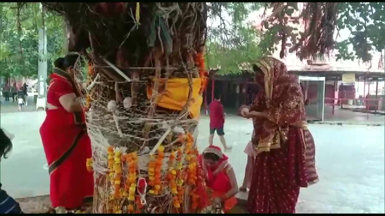 Vat Savitri Vrat 2021: Women take holy dip in river Ganga and offer prayers; See Pics