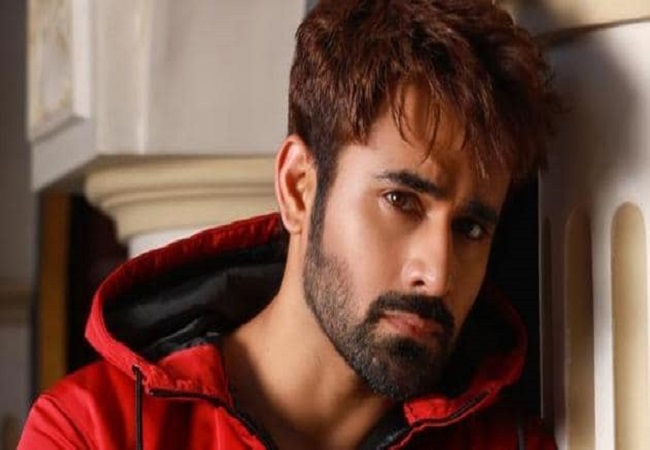 Naagin actor Pearl V Puri arrested for rape allegations