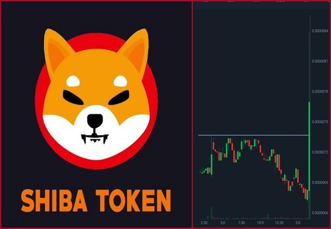 Shiba Inu jumps as Elon Musk drop hints over huge pump; Price analysis