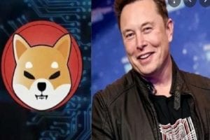 Shiba Inu surges 16% on Elon Musk’s tweet, will it soar like Dogecoin?