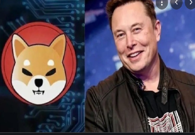 twitter elon musk shiba