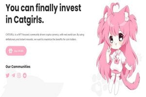 All about Catgirl cypto coin: Should you invest or not?