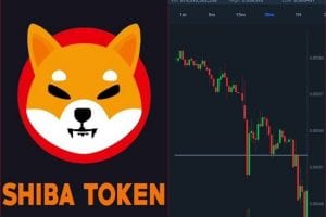 Shiba Inu drops down by 10%? Will it rebound? Can it really beat Doge?