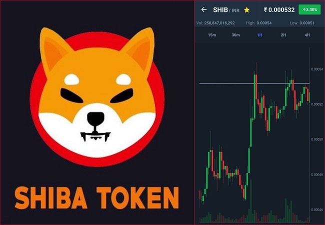 Shiba Inu prices jumps as petition for Robinhood to list the crypto gets more than 130,000 signs