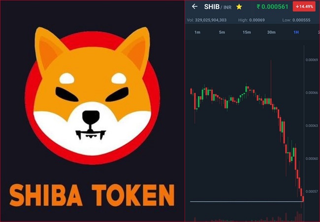 Shiba Inu down by 15%; Right time to invest? Here’s how to buy?