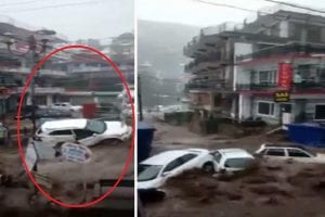 Himachal Cloudburst: Flash floods sweep away cars, damage homes; videos go viral