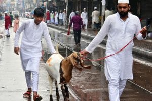 Eid-Ul-Adha 2021: Glimpses from Bakrid celebration; See here