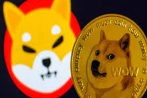 Shiba Inu blows expectations, jumps 40%; touches all time high