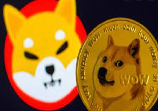 Shiba Inu blows expectations, outranks AVAX and Chainlink; inching close to top 10 crypto