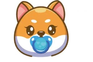 After Dogecoin, Baby Doge is the new rage in crypto market, courtesy Elon Musk