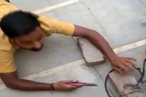 Man crawls like snake to cut illegal electricity connection, caught on CAM; hilarious VIDEO cracks up internet