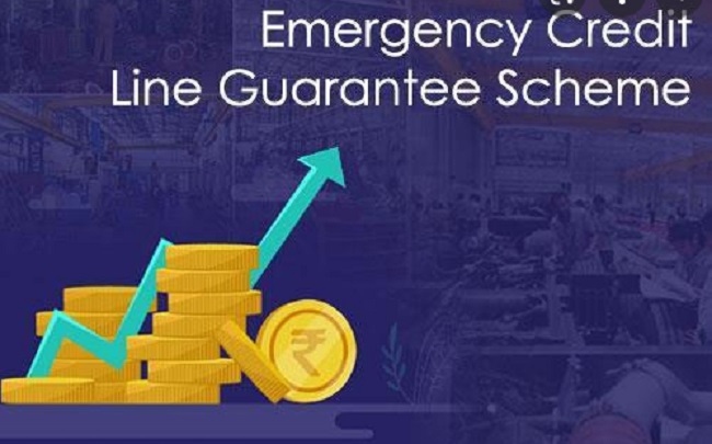Emergency Credit Line Guarantee Scheme --