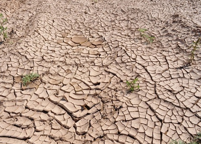 Pakistan drought