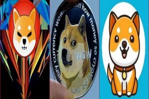 Shiba Inu, Dogecoin or Baby Doge; Which is better? Price prediction here