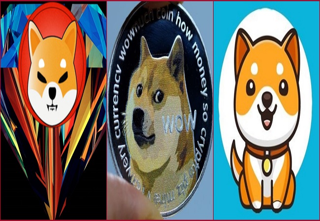 Shiba Inu, Dogecoin or Baby Doge; Which is better?