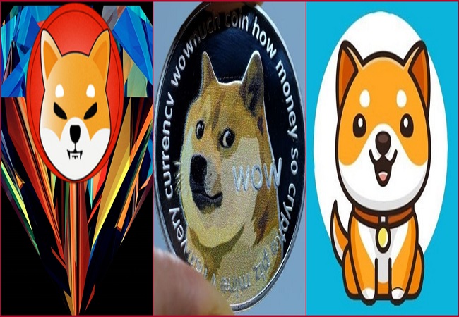 shiba inu dogecoin or baby doge which is better price prediction here