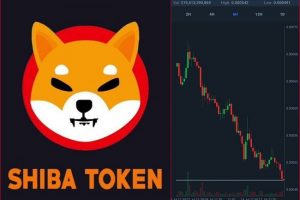 Shiba Inu drops down by 5%? Will it rebound? Buy or sell?