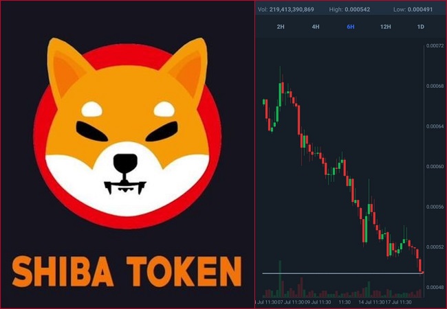 Shiba Inu drops down by 5%? Will it rebound? Buy or sell?