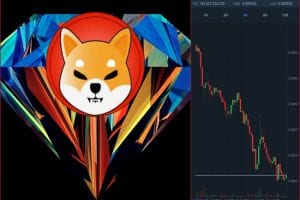 Can Shiba Inu rise again? Check market prediction for the coin here