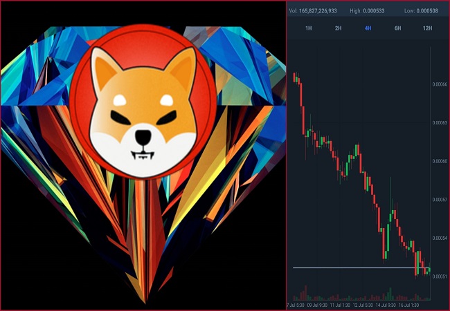 Can Shiba Inu rise again? Check Market Sentiment for the coin here