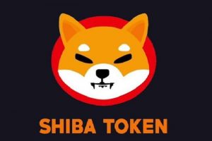 Shiba Inu can rise by 50% if it can beat this pivotal resistance: Check here