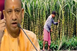 UP: Empowering sugarcane farmers via Escrow accounts, toll free-number for direct advice to farmers