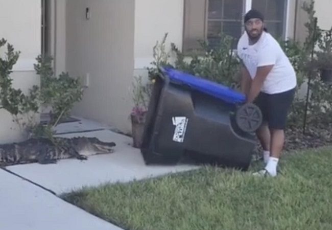 Florida man catches an alligator inside trash can, leaves netizens amused (Viral Video)