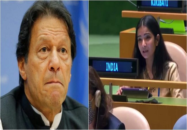 ‘Pak must immediately vacate illegal occupation from POK’: Sneha Dubey snaps at Imran Khan’s Kashmir propaganda I VIDEO