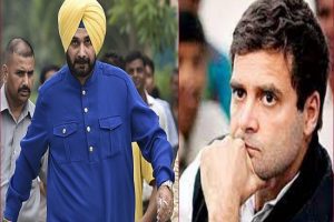 Back to back resignations rock Punjab Congress, 4 leaders quit in solidarity with Navjot Sidhu