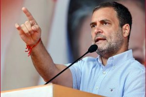Job of Opposition to create pressure on govt, raise issues: Rahul Gandhi