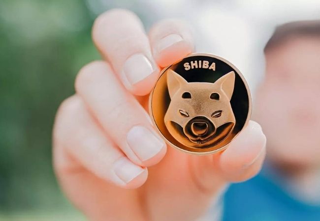 Shiba Inu to enter into top 10 cryptocurrency soon; Know why