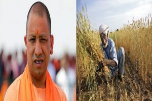 UP government will compensate every farmer whose crop is damaged due to rains