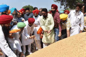 Punjab govt starts paddy procurement at Khanna grain market
