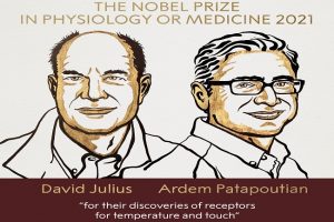 David Julius and Ardem Patapoutian declared joint winners of Nobel Prize for Medicine