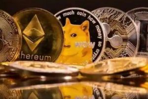 Crypto craze picked up on Diwali: A glance at how Indians purchased digital coins